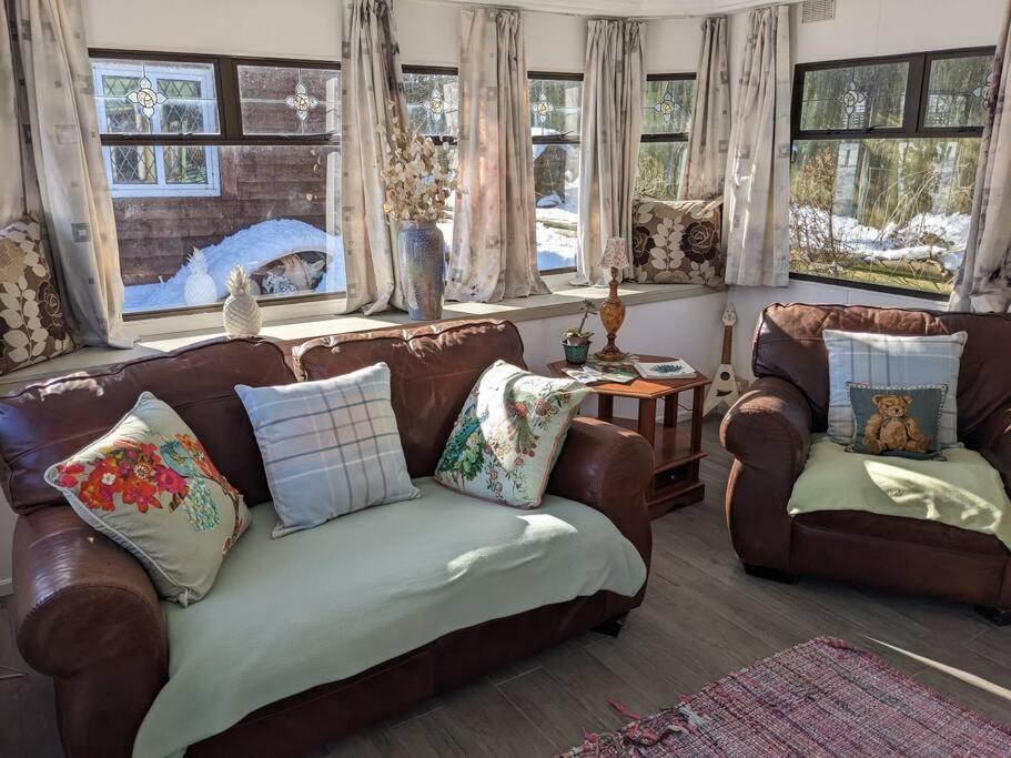 Ferny Roost Cabin. レクサム エクステリア 写真
