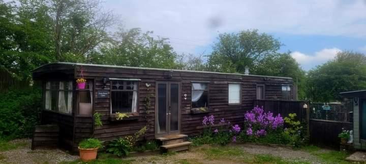 Ferny Roost Cabin. レクサム エクステリア 写真